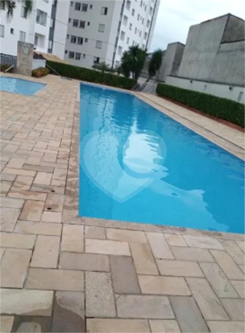 Apartamento vista livre e muito sol