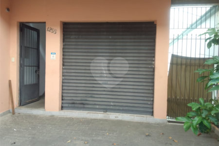 Galpão - Vila Santa Catarina