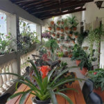 Sobrado no Jardim Paraíso