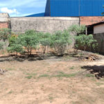 Chácara com Casa no Varjão - São Carlos, SP