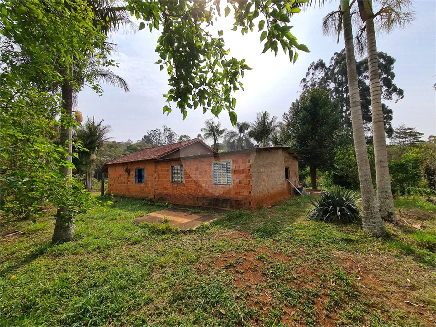 Ribeirão Grande - Bairro ferreira dos Matos - Sítio de 30.000 metros - R$ 600.000,00