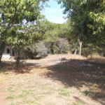 Chácara à venda em Tanquinho - Piracicaba/SP.