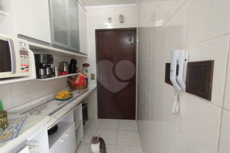 Excelente Apartamento no Ipiranga