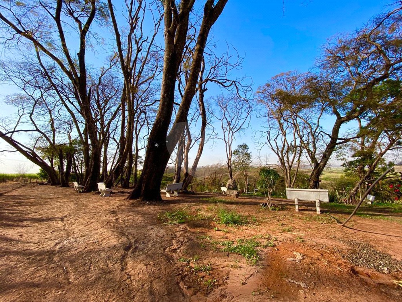 Sítio na cidade de Taiuva-SP.
