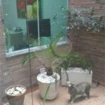 Sobrado à venda com 3 quartos, sendo 1 suíte, em Artur Alvim, São Paulo, SP