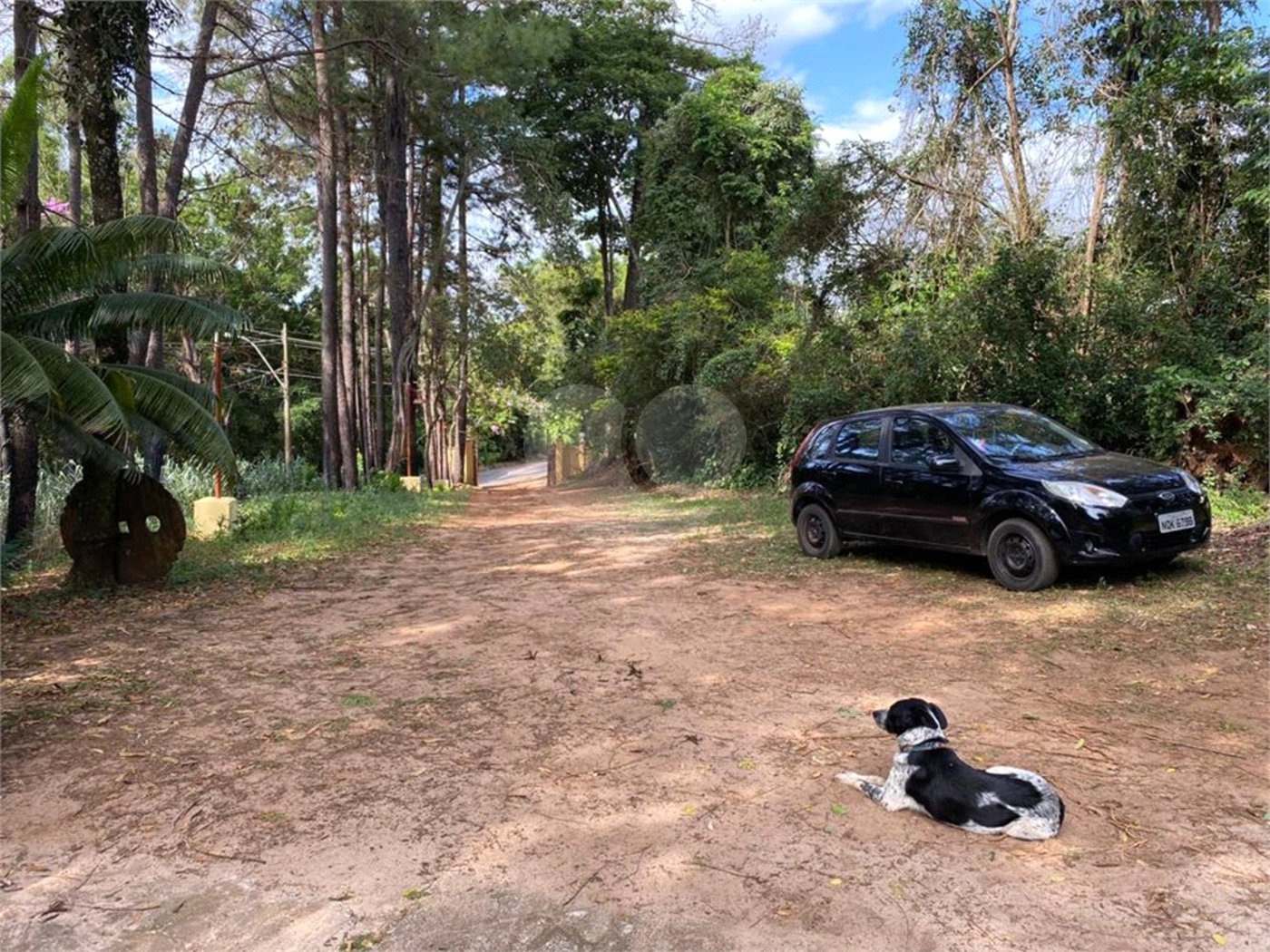 Excelente imóvel rural, situado em Analândia/SP