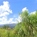 Oportunidade Exclusiva em Atibaia – Terreno com 8.919m² em Localização Privilegiada