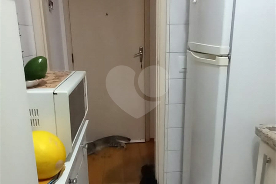 Lindo apartamento Aconchegante com 3 dormitórios, sendo 1 suíte-Venha Conhecer ! Ruaís Cunha, 285 - Vila Pirituba, São Paulo - SP
