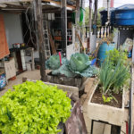 Vende-se casa na Vila Santa Catarina - Excelente oportunidade para investimento e geração de renda