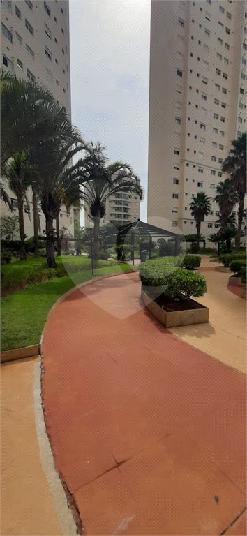 Apartamento Alto Padrão de 176m² na Aclimação — São Paulo/SP