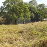 Chácara à venda em Tanquinho - Piracicaba/SP.
