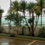 Apartamento Frente Mar em Solemar – Praia Grande