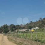 VENDA SÍTIO 48 hectares com estruura para granja, hidroponia e gado