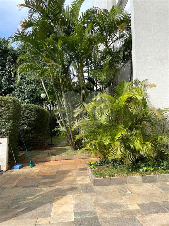 Apartamento maravilhoso Sumaré/ Perdizes