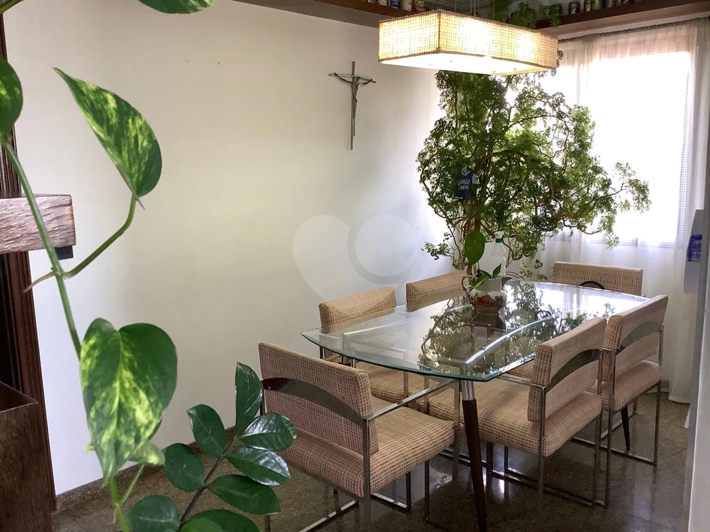 Apartamento na Mooca com 244 metros