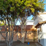 Casa de Alto Padrão à Venda e Locação no Parque Santa Mônica - São Carlos