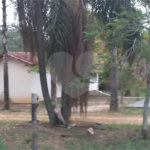 Chácara para venda no Aracê de Santo Antonio I