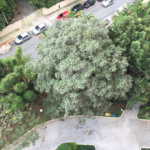 Maravilhoso apartamento em um dos melhores condomínios da zona Norte e próximo ao Metrô Tucuruvi!