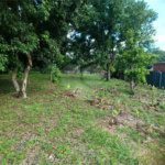 Chácara à venda com 3 quartos, sendo 1 suíte, em Bosque, Vinhedo, SP