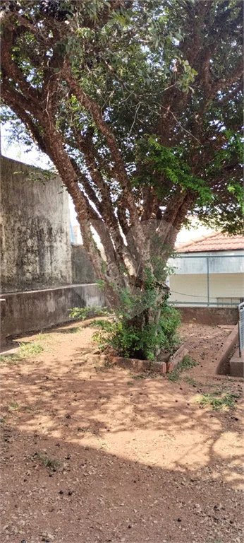 Casa Térrea à venda com 3 quartos, sendo 1 suíte, em Vila Guilherme, São Paulo, SP