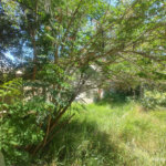 Terreno em Atibaia com 390 m² bairro Jardim dos Pinheiros e pronto para construir