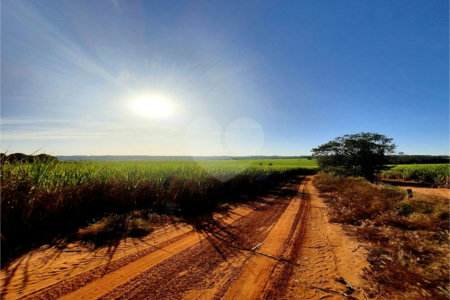 Fazenda em Ribeirão Bonito