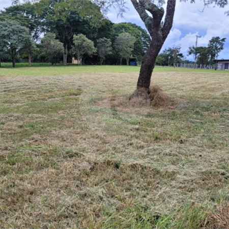 Loteamento Residencial no Condomínio Vila Pinhal do Broa.
