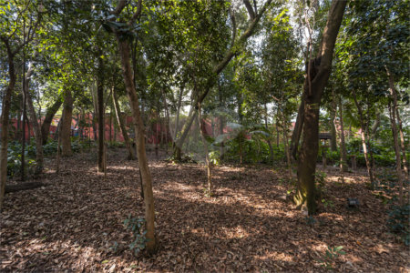 Apartamento à venda com 3 quartos, sendo 1 suíte,  em Vila Mascote, São Paulo, SP