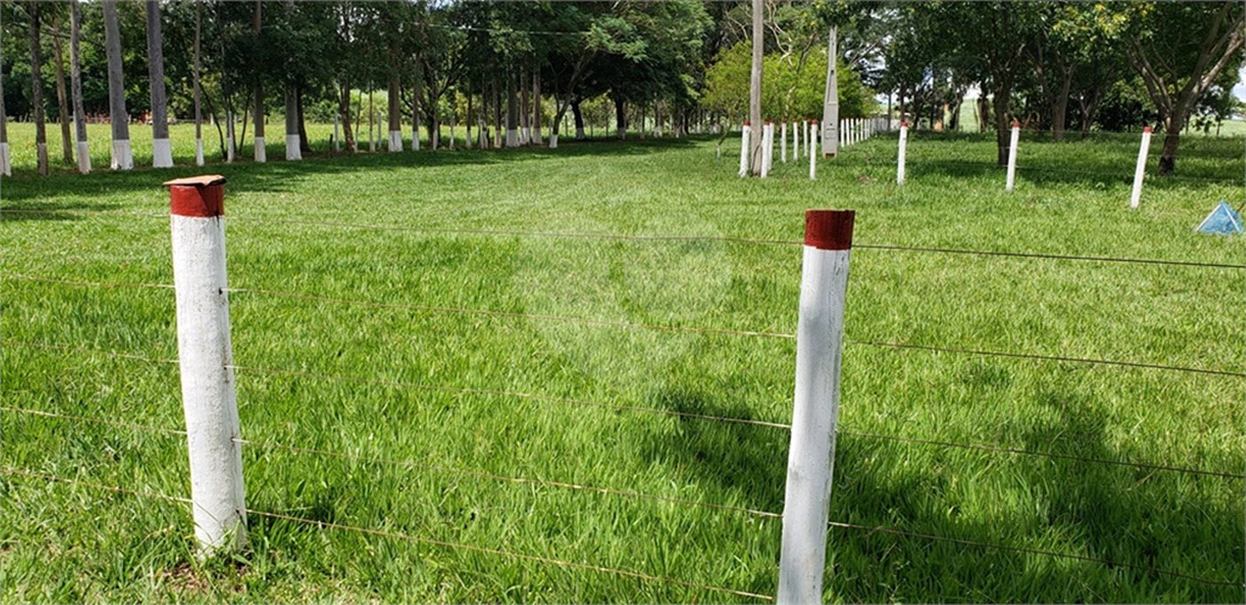 Sitio para venda.