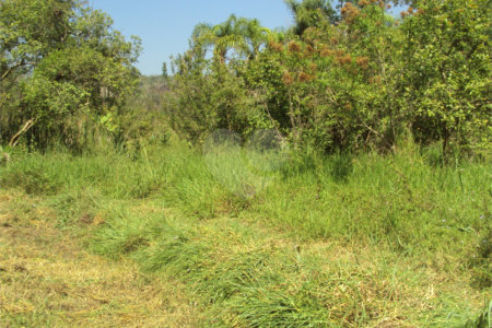 Sítio Estrada Santa Catarina 27.000 m² Cruz das Almas - Biritiba Mirim SP