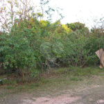 Chácara a venda no Aracê de Santo Antônio .