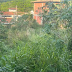 Terreno à venda em Albatroz, Armação dos Búzios, RJ