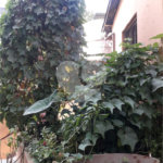 Apartamento na Bela Vista 1 quarto 40 mt