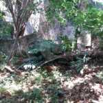 Casa térrea à venda em local tranquilo e arborizado