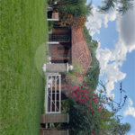 Sitio para venda.