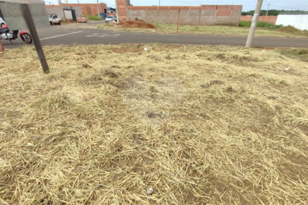 Terreno à Venda em São Carlos, no bairro Jardim Embaré