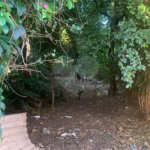 Terreno com 1.000,00 m²